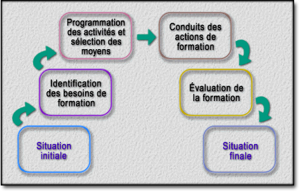 Schéma - Processus de formation