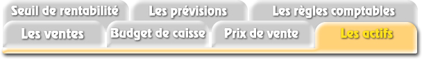 Les actifs (Comment faire...)