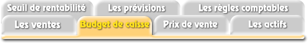 Budget de caisse (Comment faire...)
